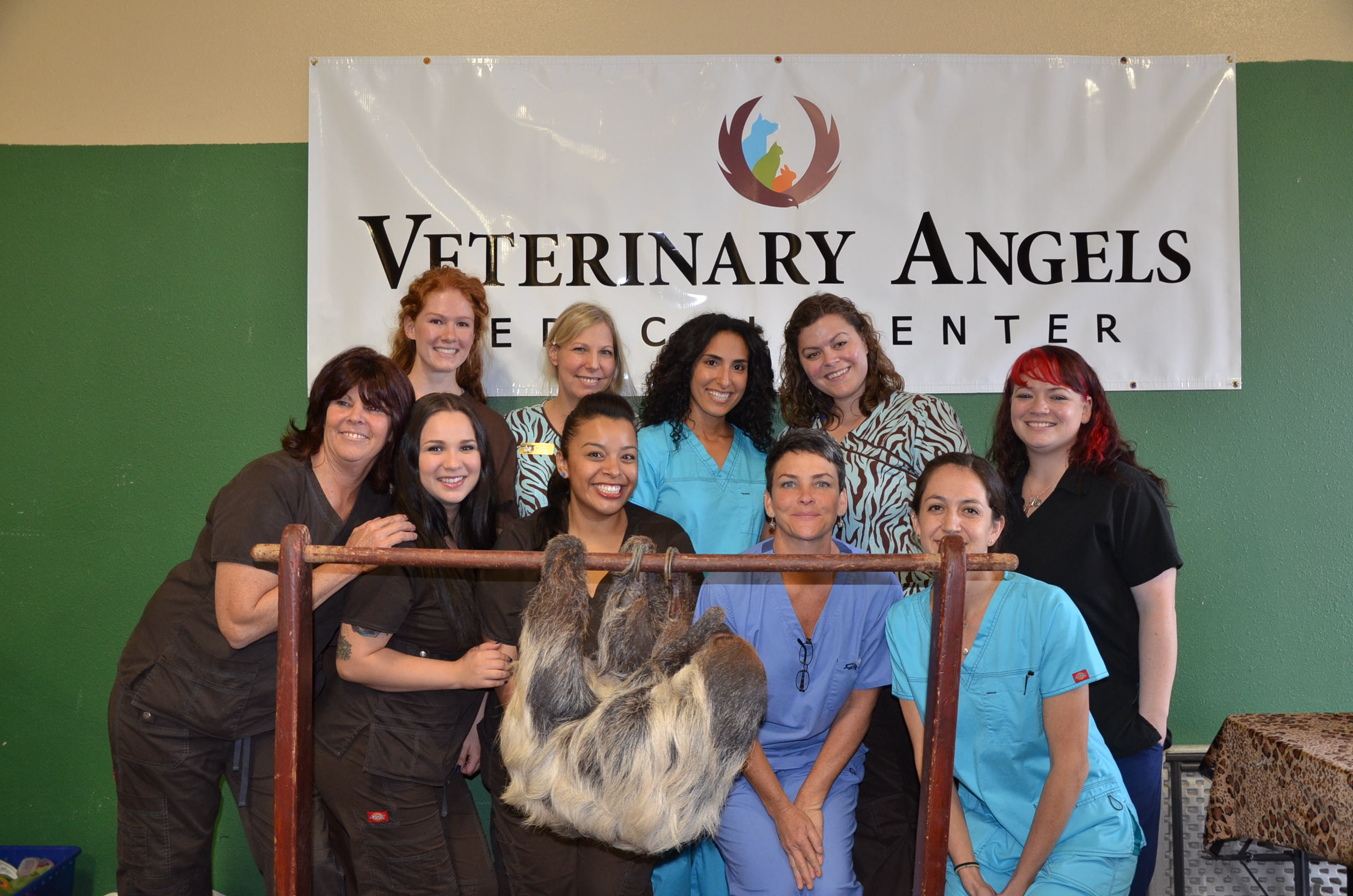 New Agoura Hills StateoftheArt Veterinary Center Treats Exotics and More